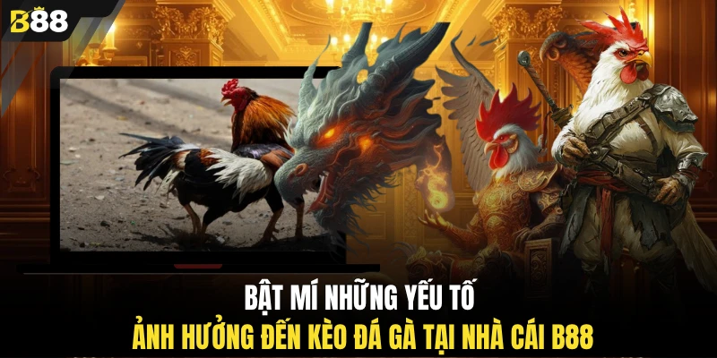 Bật mí những yếu tố ảnh hưởng đến kèo đá gà tại nhà cái B88