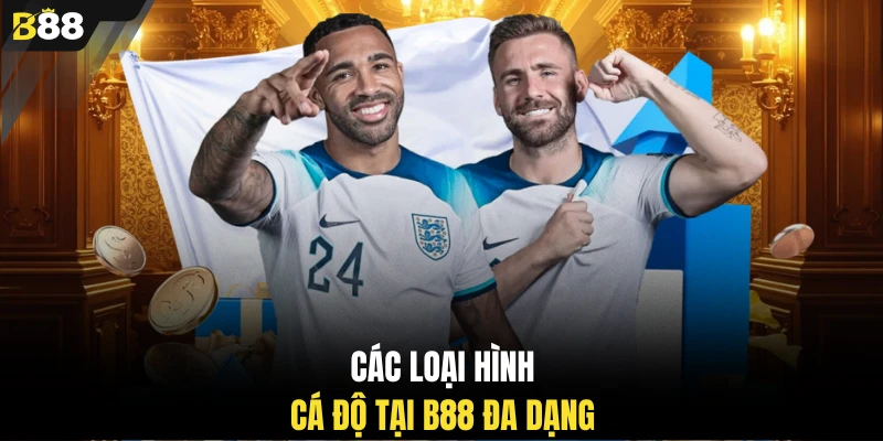 Các loại hình cá độ tại B88 đa dạng