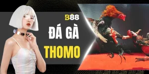 Đá Gà Thomo