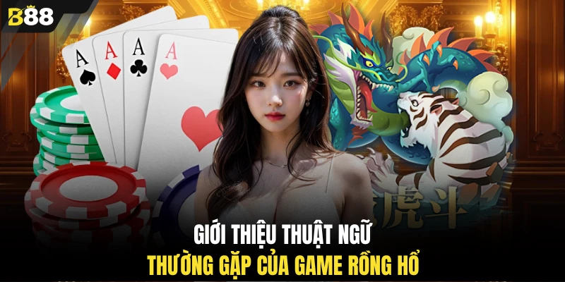 Giới thiệu thuật ngữ thường gặp của game Rồng Hổ