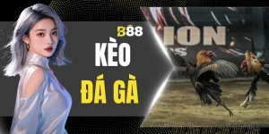 Kèo Đá Gà