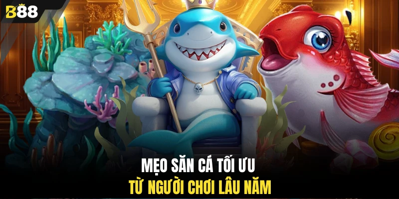 Mẹo săn cá tối ưu từ người chơi lâu năm