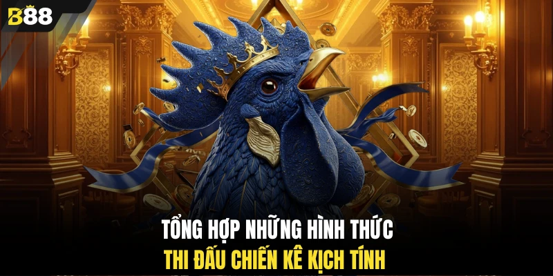 Tổng hợp những hình thức thi đấu chiến kê kịch tính 